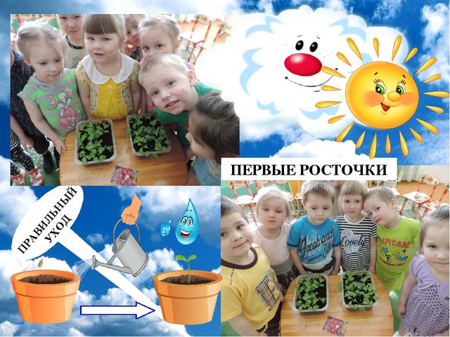 Презентация проекта "Огород на окне"
