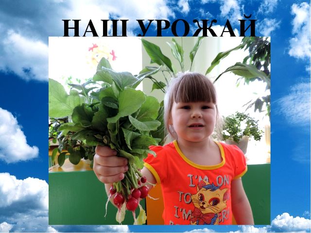 Презентация проекта "Огород на окне"