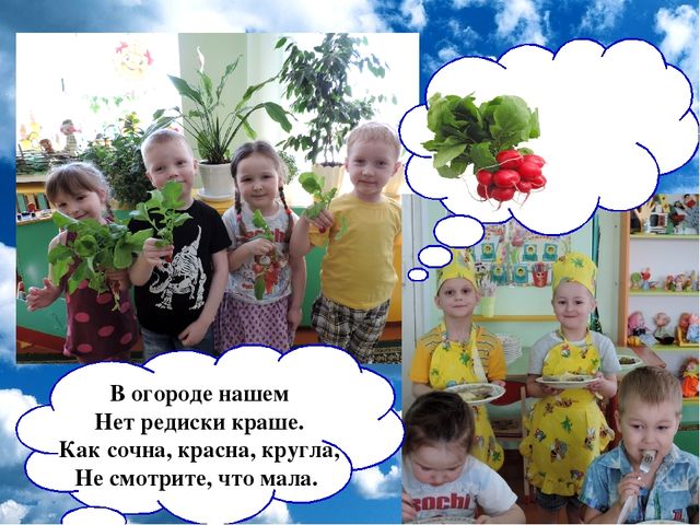 Презентация проекта "Огород на окне"