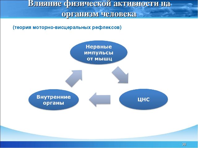 Презентация "Гигиеническая организация физических упражнений"