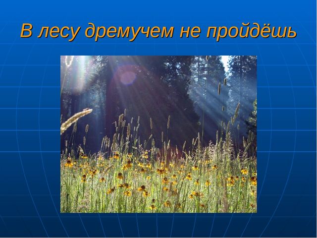 Презентация НОД по формированию естественно-научных представлений "Планета Земля"