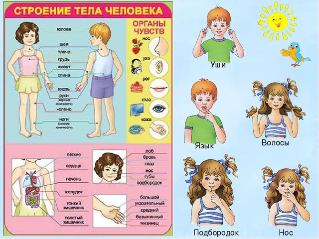 Презентация для детей старшего дошкольного возраста " Игры на развитие лексико-грамматического строя речи"