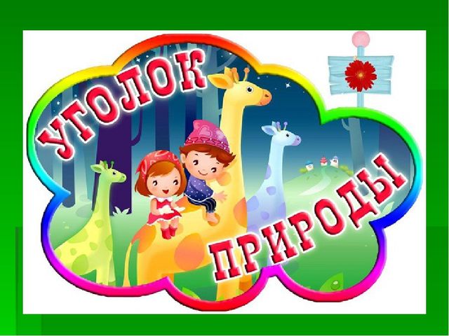 Презентация по трудовому воспитанию на тему "Формирование у детей практических умений и навыков в природе через трудовую деятельность"