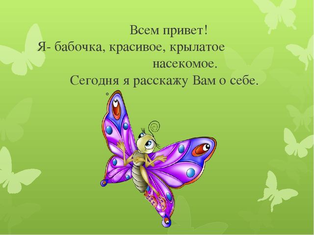 Презентация по экологии на тему "Бабочка-красавица" МБДОУ (старшая группа)