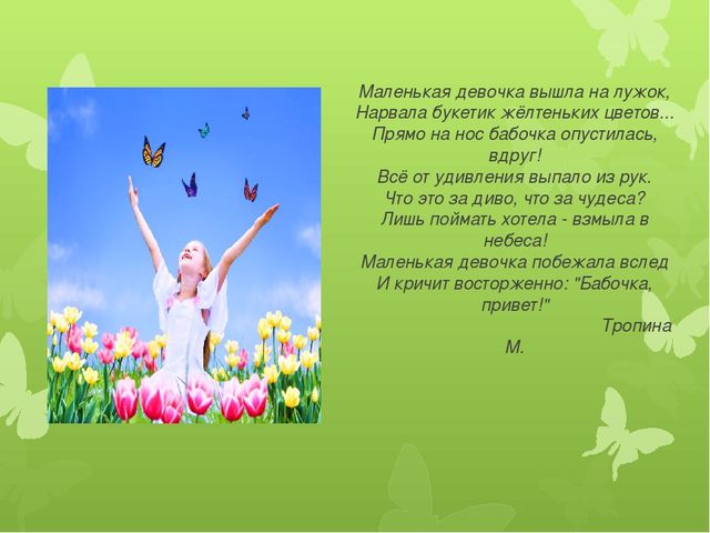 Презентация по экологии на тему "Бабочка-красавица" МБДОУ (старшая группа)