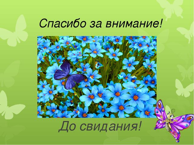 Презентация по экологии на тему "Бабочка-красавица" МБДОУ (старшая группа)