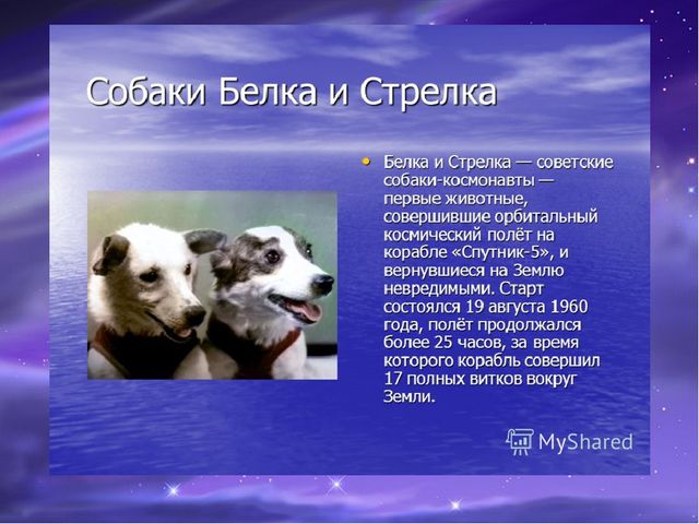 Презентация по познавательному развитию "Первые космонавты"