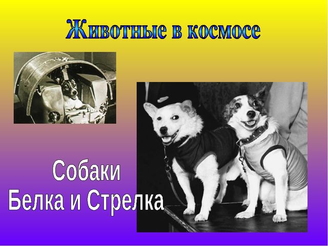 Презентация "Земля в ладонях" Космонавтике посвящается...