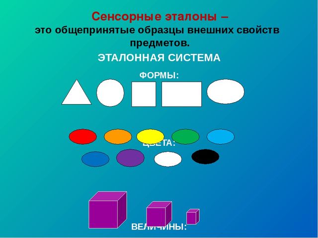 Презентация "Сенсорное воспитание - фундамент умственного развития ребенка""