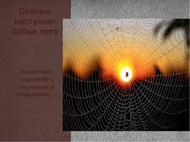 Проект "Почему я люблю осень"