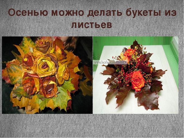 Проект "Почему я люблю осень"