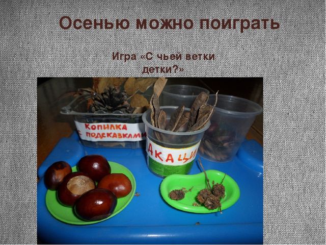 Проект "Почему я люблю осень"
