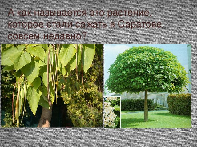 Проект "Почему я люблю осень"