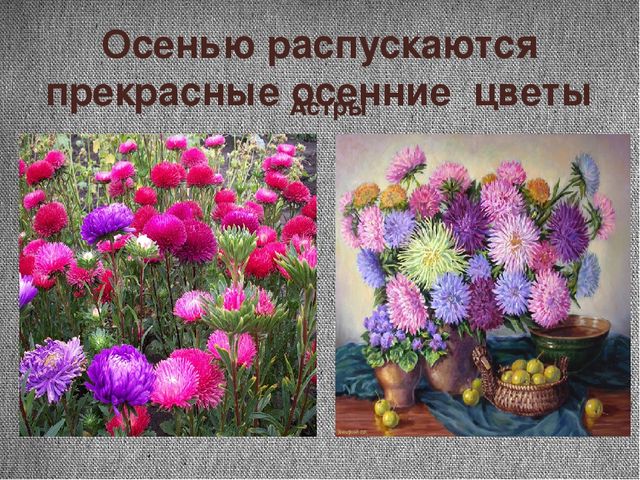 Проект "Почему я люблю осень"