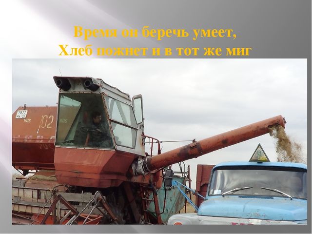 Презентация на тему: "Хлеб всему голова" подготовительная группа