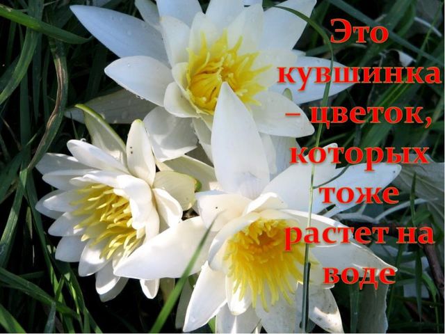 Презентация о достопримечательностях города Астрахань