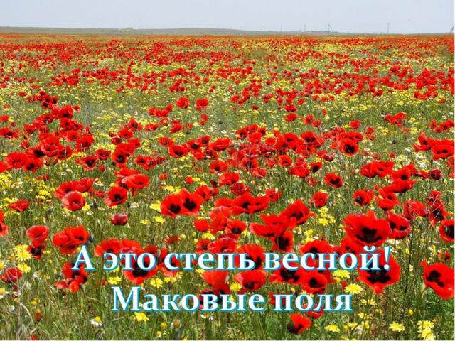 Презентация о достопримечательностях города Астрахань