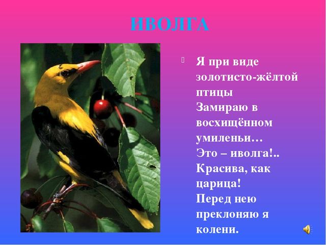 Презентация знакомство с птицами "Птицы"