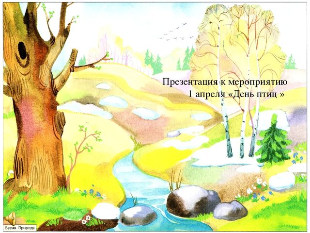 Презентация к занятию "День птиц"
