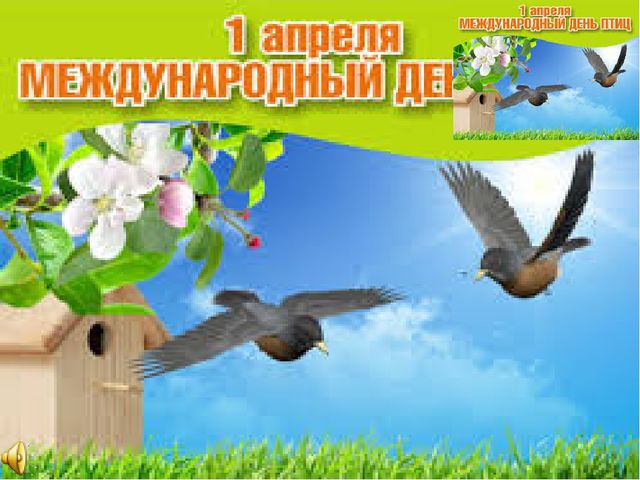 Презентация к занятию "День птиц"