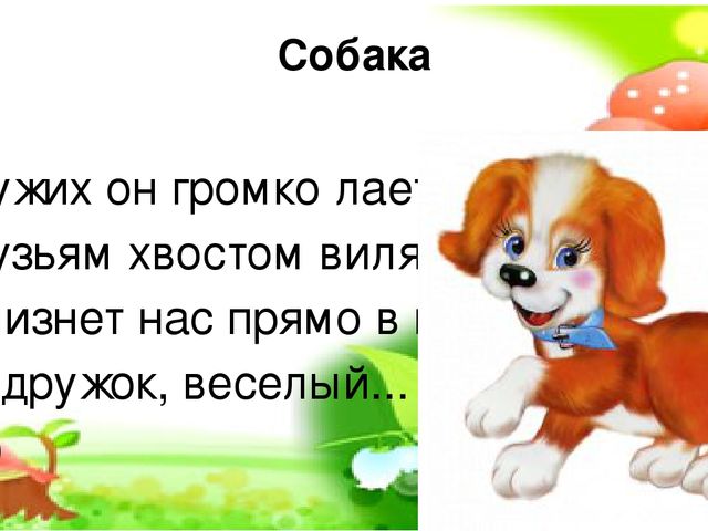 Презентация по окружающему миру на тему "Домашние животные"