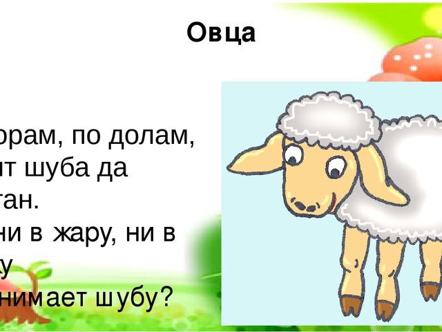 Презентация по окружающему миру на тему "Домашние животные"