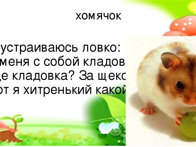 Презентация по окружающему миру на тему "Домашние животные"