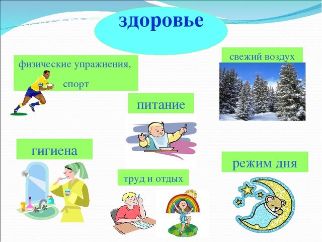 Презентация "Витамины для нашего организма"