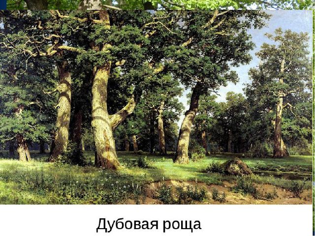 Презентация на стихотворение "Березовая родина моя"