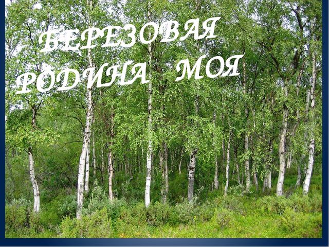 Презентация на стихотворение "Березовая родина моя"