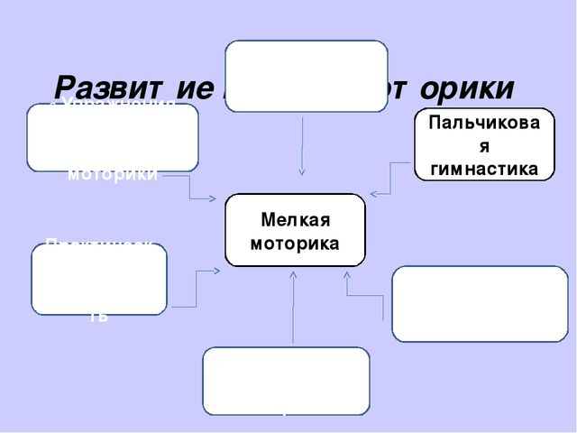 Презентация "Развитие мелкой моторики у детей 2-3 лет".
