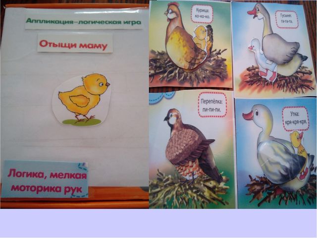Презентация "Развитие мелкой моторики у детей 2-3 лет".