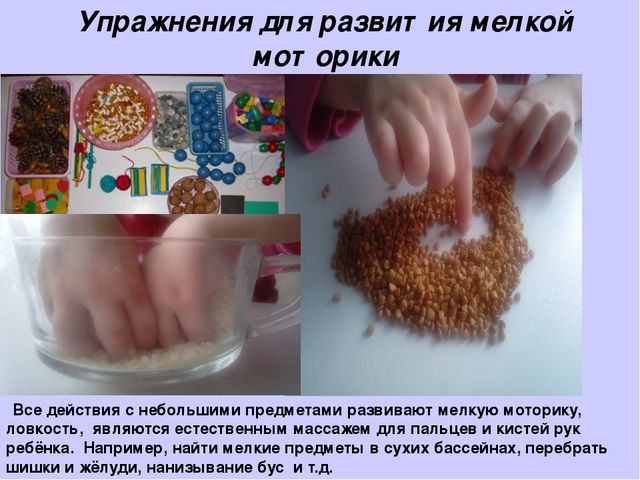 Презентация "Развитие мелкой моторики у детей 2-3 лет".