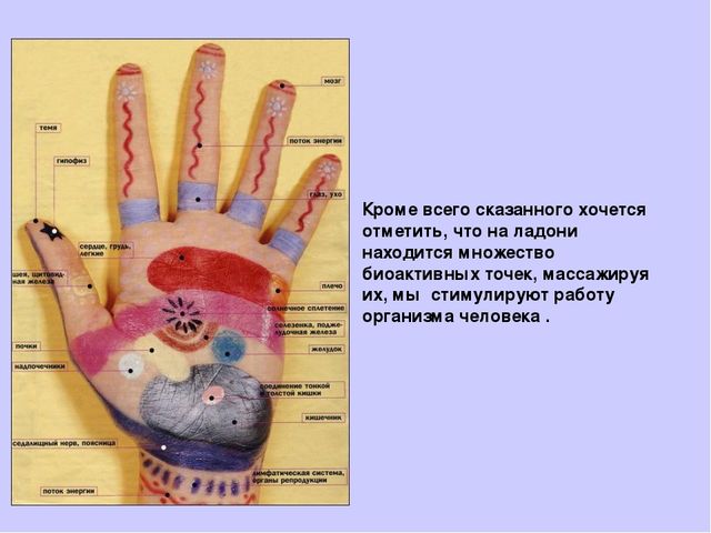Презентация "Развитие мелкой моторики у детей 2-3 лет".