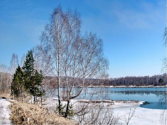Презентация на тему: «Весна. Признаки весны» в рамках образовательной области «Речевое развитие»