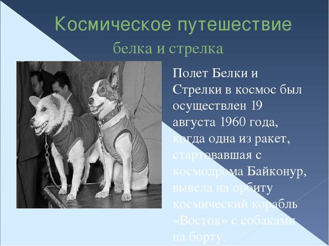 Презентация "Космическое путешествие" для старшего дошкольного возраста