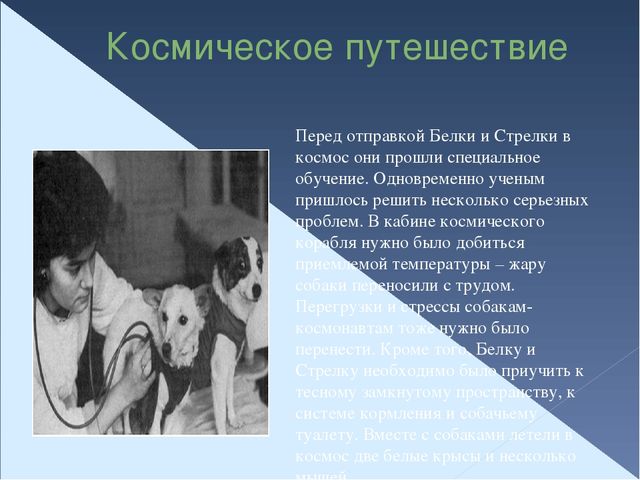 Презентация "Космическое путешествие" для старшего дошкольного возраста