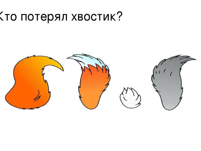Презентация к занятию на тему "Дикие животные наших лесов" в старшей группе