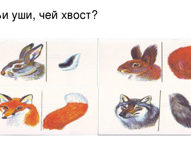 Презентация к занятию на тему "Дикие животные наших лесов" в старшей группе