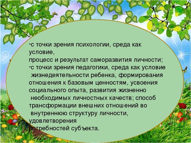 Презентация на тему " Развивающая образовательная среда"