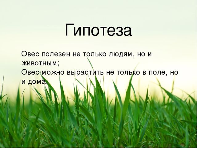 Презентация по результатам экологического проекта во 2 младшей группе "Посадили мы овес, будем ждать, чтоб он пророс"