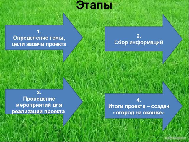 Презентация по результатам экологического проекта во 2 младшей группе "Посадили мы овес, будем ждать, чтоб он пророс"