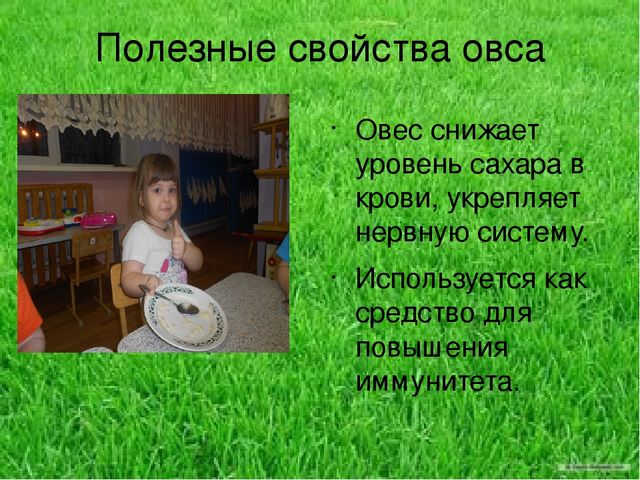 Презентация по результатам экологического проекта во 2 младшей группе "Посадили мы овес, будем ждать, чтоб он пророс"