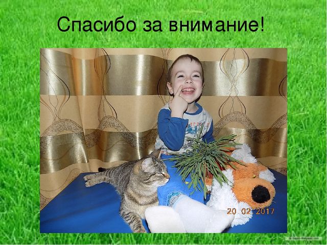 Презентация по результатам экологического проекта во 2 младшей группе "Посадили мы овес, будем ждать, чтоб он пророс"