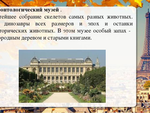 Презентация о Париже в рамках проекта "Страны мира".