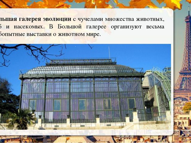 Презентация о Париже в рамках проекта "Страны мира".