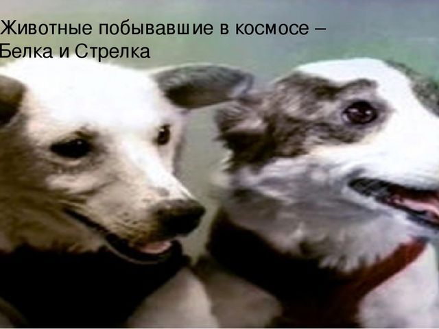 Презентация по окружающему миру "Космос" Младшая группа №2