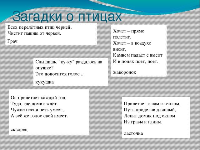 Презентация " Поговорим о птицах весной"