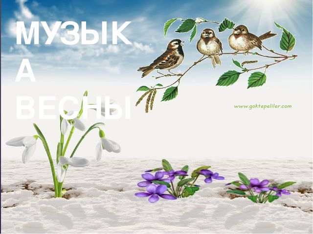 Слайд к уроку русского языка
