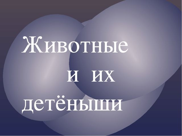 Слайд к уроку русского языка